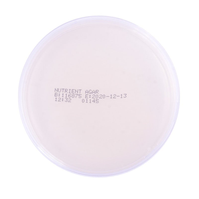 Nährstoff-Agar von Axon Lab - vielseitiger Nährboden für mikrobiologische Routine - Med-Praxisbedarf