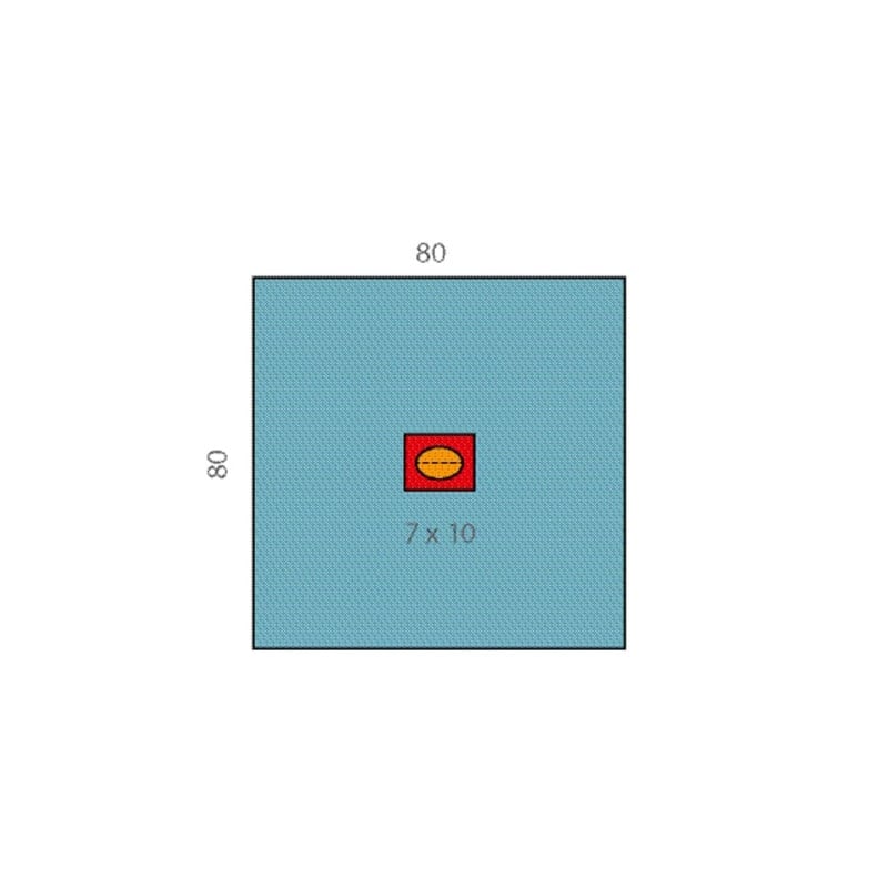 Raucodrape PRO Augentücher - 2-lagige, selbstklebende Abdecktücher mit 7x10 cm Ausschnitt - Med-Praxisbedarf