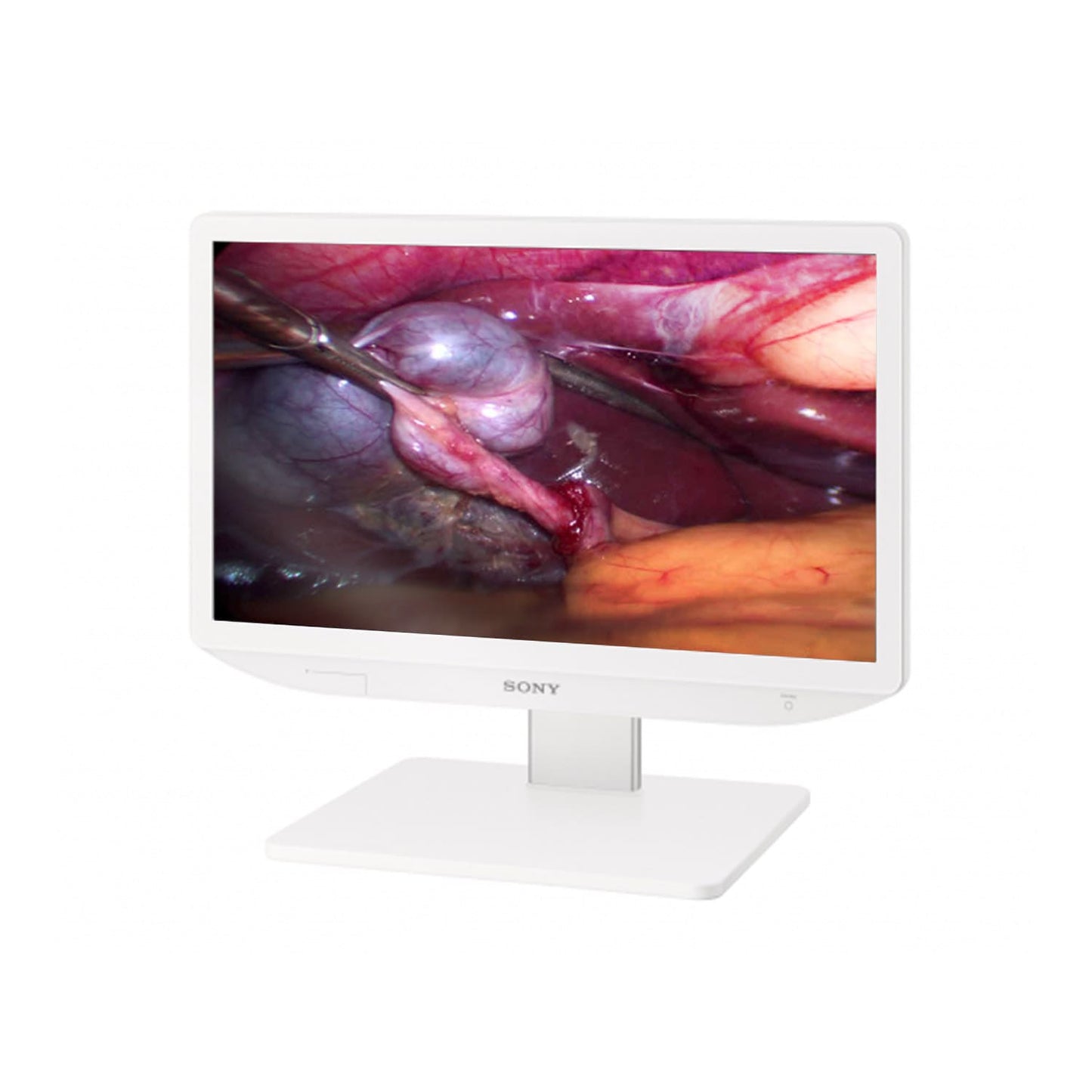 Sony LMD-2435MD Monitor rückseitig - Übersicht der Anschlüsse wie DVI und HDMI für medizinische Geräte - Med-Praxisbedarf
