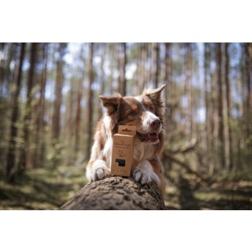 Nachhaltige Hundekotbeutel schwarz - Modell Comfort, 23x33 cm, biologisch abbaubar - Med-Praxisbedarf