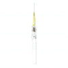 BD Insyte™ Autoguard™ BC