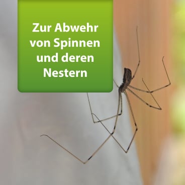 ARDAP Repell Spinnenspray in Anwendung - zeigt das Sprühen des Spinnenschutzmittels - Med-Praxisbedarf