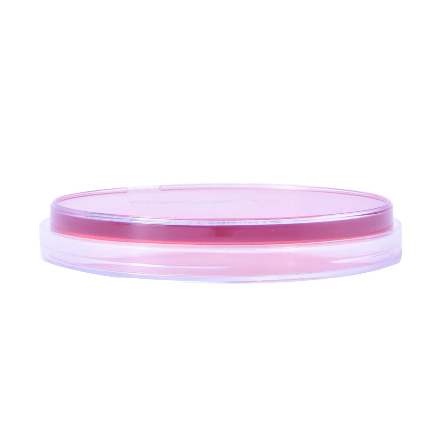 MacConkey Agar Nährboden in Petrischale - Differentialmedium für Bakterienkulturen - Med-Praxisbedarf