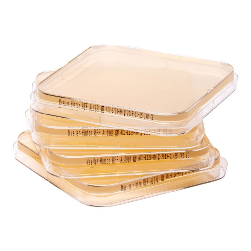 Mueller-Hinton Agar von Axon Lab - für Antibiogramm-Erstellung, wirtschaftliche Agar-Platten - Med-Praxisbedarf