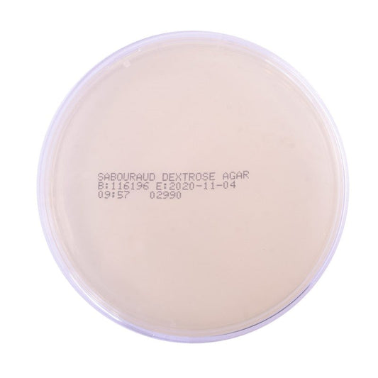 Sabouraud Dextrose Agar Nährboden - selektiv für Pilze, Schimmelpilze, Dermatophyten - Med-Praxisbedarf