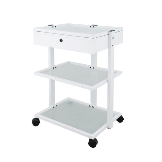 Silverfox Beistellwagen 1D SF - Stauraumwagen 60x46,5x80,5 cm für Geräte und Utensilien - Med-Praxisbedarf