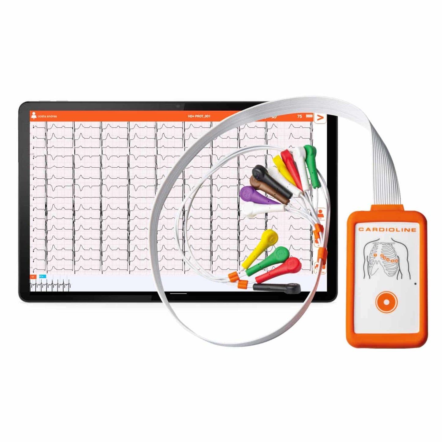 touchECG Windows HD+ Bedienung - Benutzerfreundliches Interface und Tasten für einfache EKG-Aufzeichnung - Med-Praxisbedarf