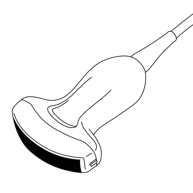Konvex-Sonde C3-A von Chison - für ECO 1, ECO 2, ECO 3 expert, ECO 5 und ECO 6 Ultraschallgeräte - Med-Praxisbedarf