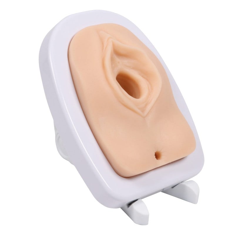 Anatomischer Episiotomie Simulator - hochwertiges Modell für medizinische Fachkräfte - Erler-Zimmer
