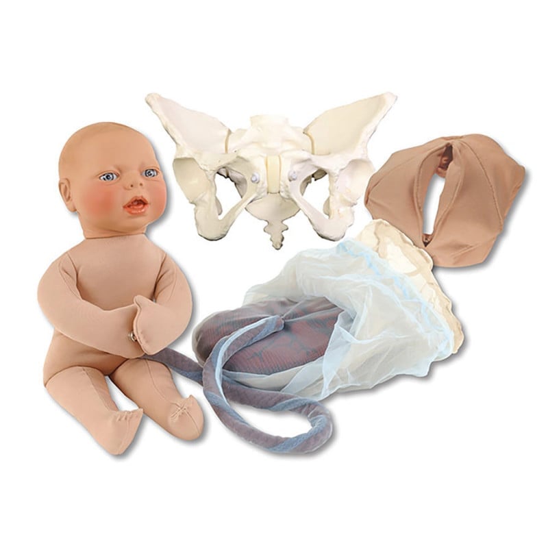 Luxus Geburtsmodell-Set beweglich - Becken mit flexiblem Baby für Geburtshilfe-Training - Med-Praxisbedarf