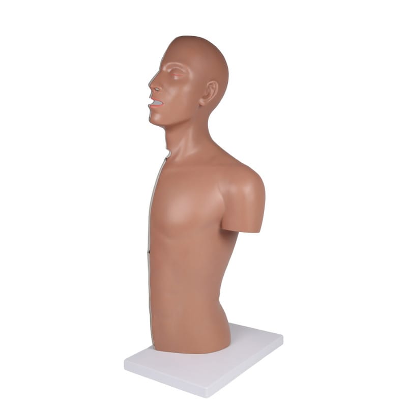 NG & Tracheostomie Torso lebensgroß - Übungsmodell für Sonden- und Tracheostomiepflege - Med-Praxisbedarf