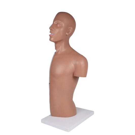 NG & Tracheostomie Torso lebensgroß - Übungsmodell für Sonden- und Tracheostomiepflege - Med-Praxisbedarf