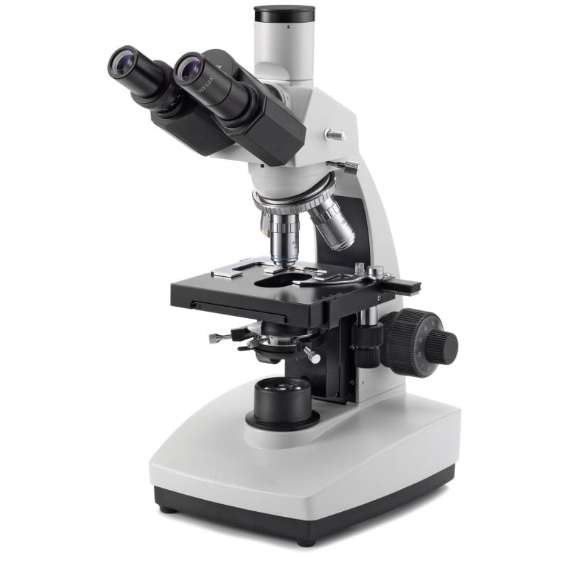 BioBlue Trinokular Mikroskop von Euromex - professionelles Labor-Mikroskop mit 4x bis 100x Vergrößerung - Med-Praxisbedarf