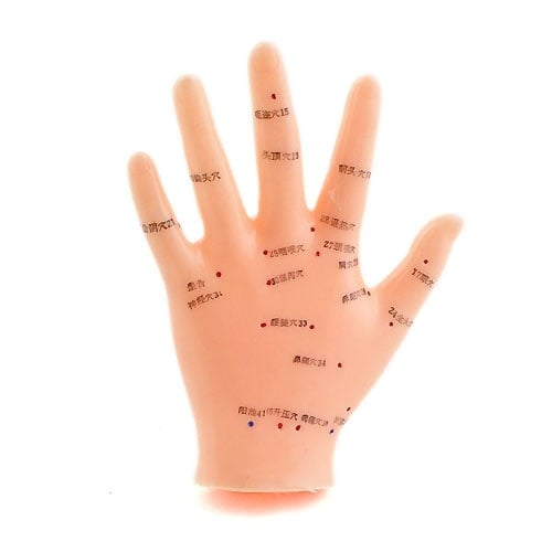 Akupunkturmodell Hand Detailansicht - Nahaufnahme der markierten Therapiepunkte auf Handfläche und -rücken - Med-Praxisbedarf