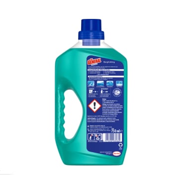 GENERAL Reiniger Bergfrühling Flasche - für Böden und Flächen, schnell entfettend - Med-Praxisbedarf