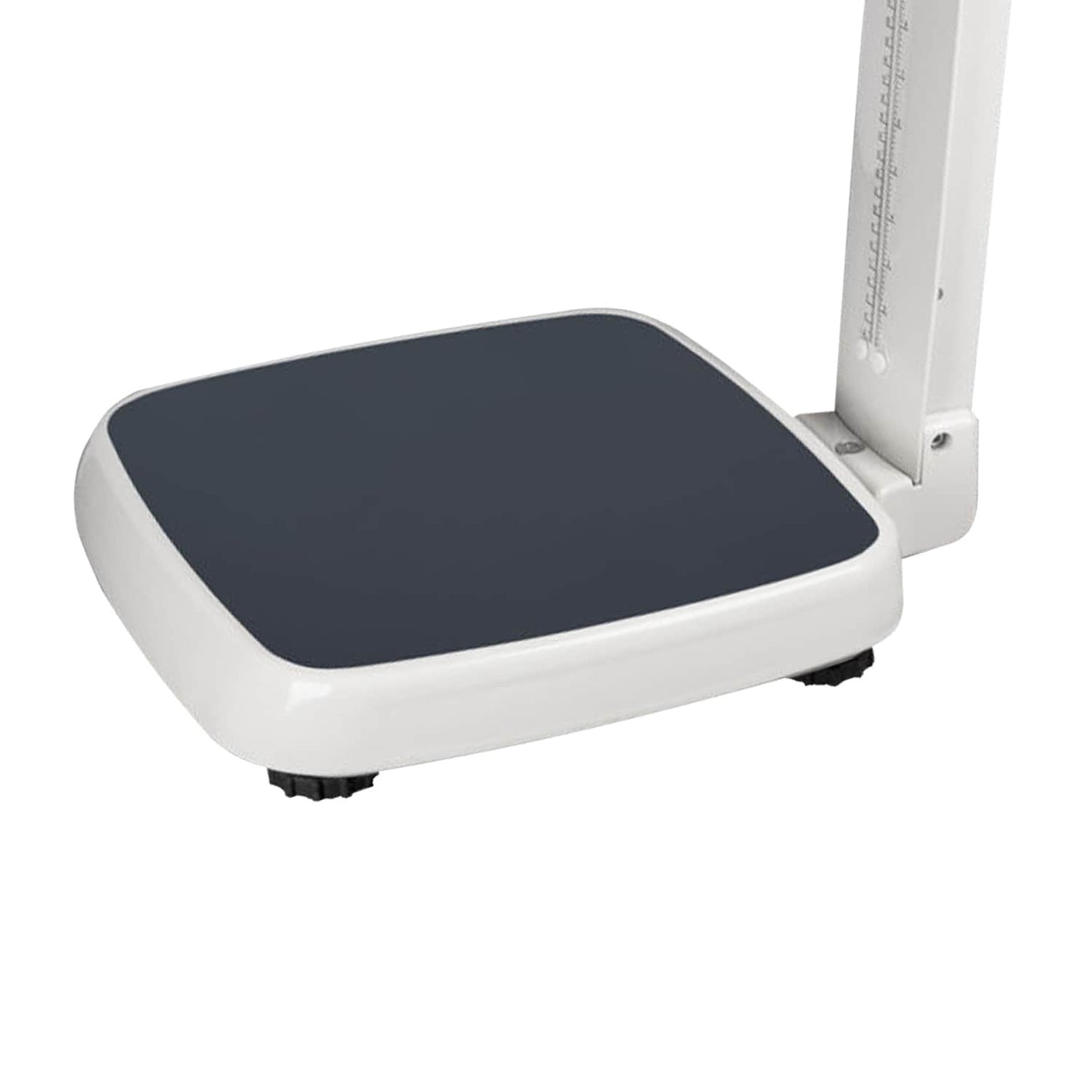 Kern MPN 200k Display - helles, gut ablesbares Anzeigefeld der Personenwaage - Med-Praxisbedarf