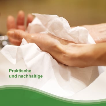 Papierhandtücher HOSTESS Natura groß - 2-lagig, umweltbewusst für Arztpraxen und Kliniken - Med-Praxisbedarf