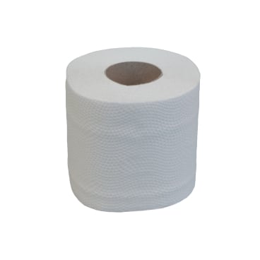 KATRIN Toilettenpapier 250 Blatt - Hygienepapier für medizinische Einrichtungen, gute Saugfähigkeit - Med-Praxisbedarf