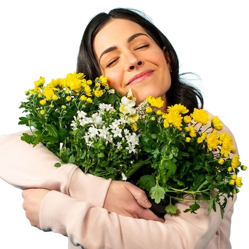 Allergy Filter NOSA gegen Allergene - aus TPE-Kunststoff und PP-Filtermedium - Med-Praxisbedarf
