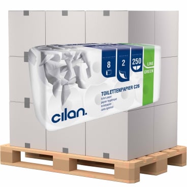 Cilan Toilettenpapier im Spender - 2-lagiges Tissue in der praktischen Halterung - Med-Praxisbedarf