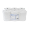 Rollenhandtuchpapier, 2-lagig