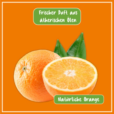 Bio Küchen Reiniger POLIBOY - löst Fett und eingetrocknete Verschmutzungen - Med-Praxisbedarf