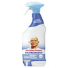 Meister Proper Badreiniger Spray, Febreze Frische