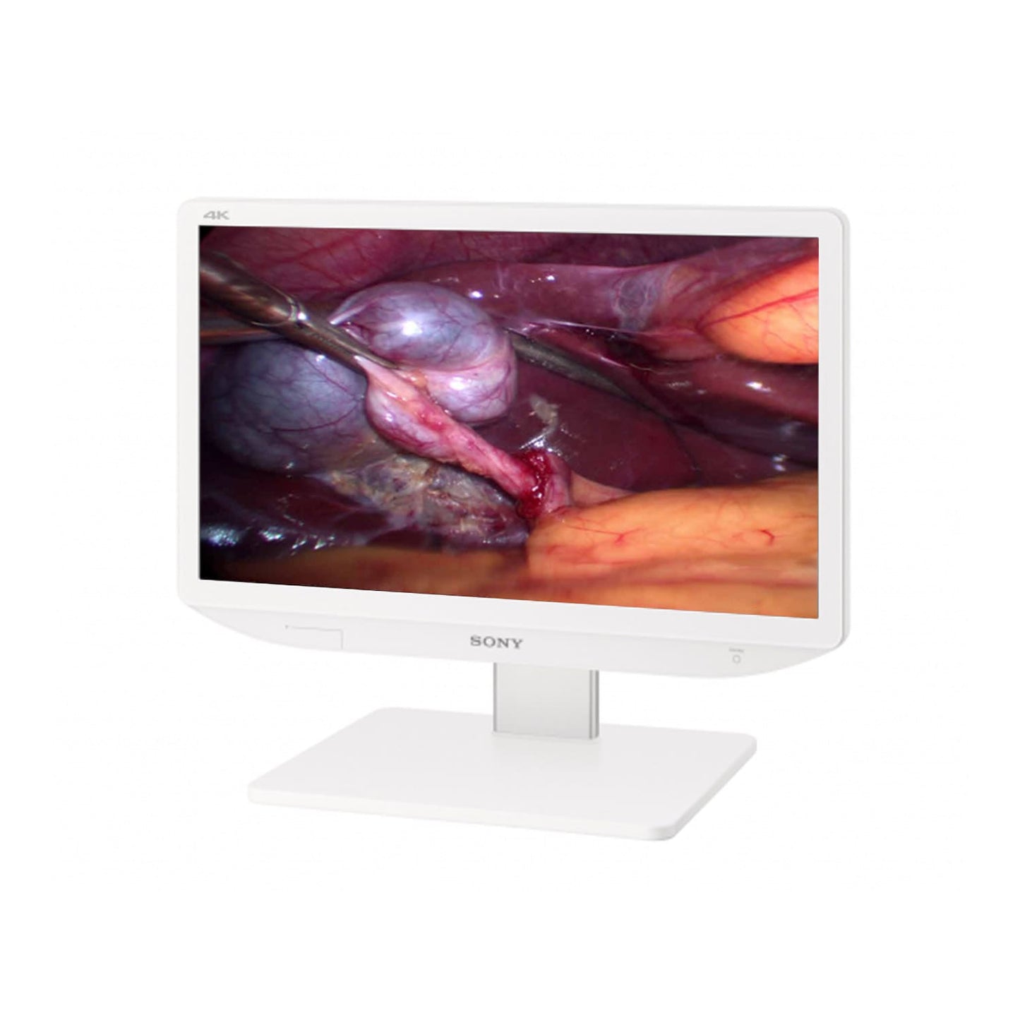 Anschlüsse des LMD-X2705MD Monitors - Hinteransicht mit Schnittstellen des Sony 4K Medizindisplays - Med-Praxisbedarf