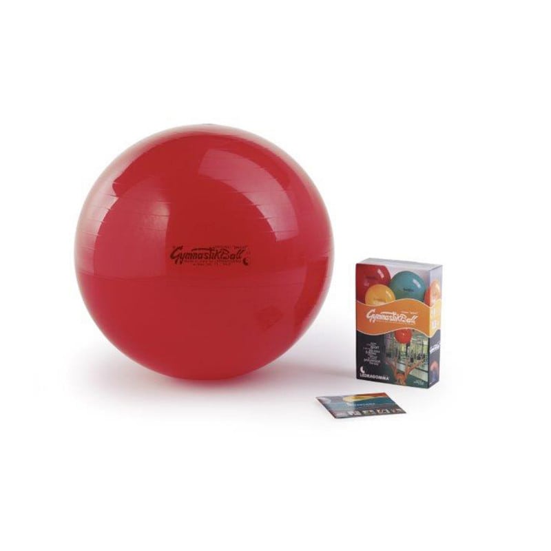 RÖWO Pezzi Gymnastikball lila - vielseitiger Pezziball für Fitness, Therapie und Gymnastik - Med-Praxisbedarf