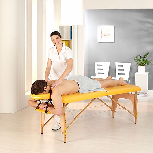 Mobile Massageliege Sparpaket von Teqler - 186x70 cm, 9-fach verstellbar für Wellness - Med-Praxisbedarf