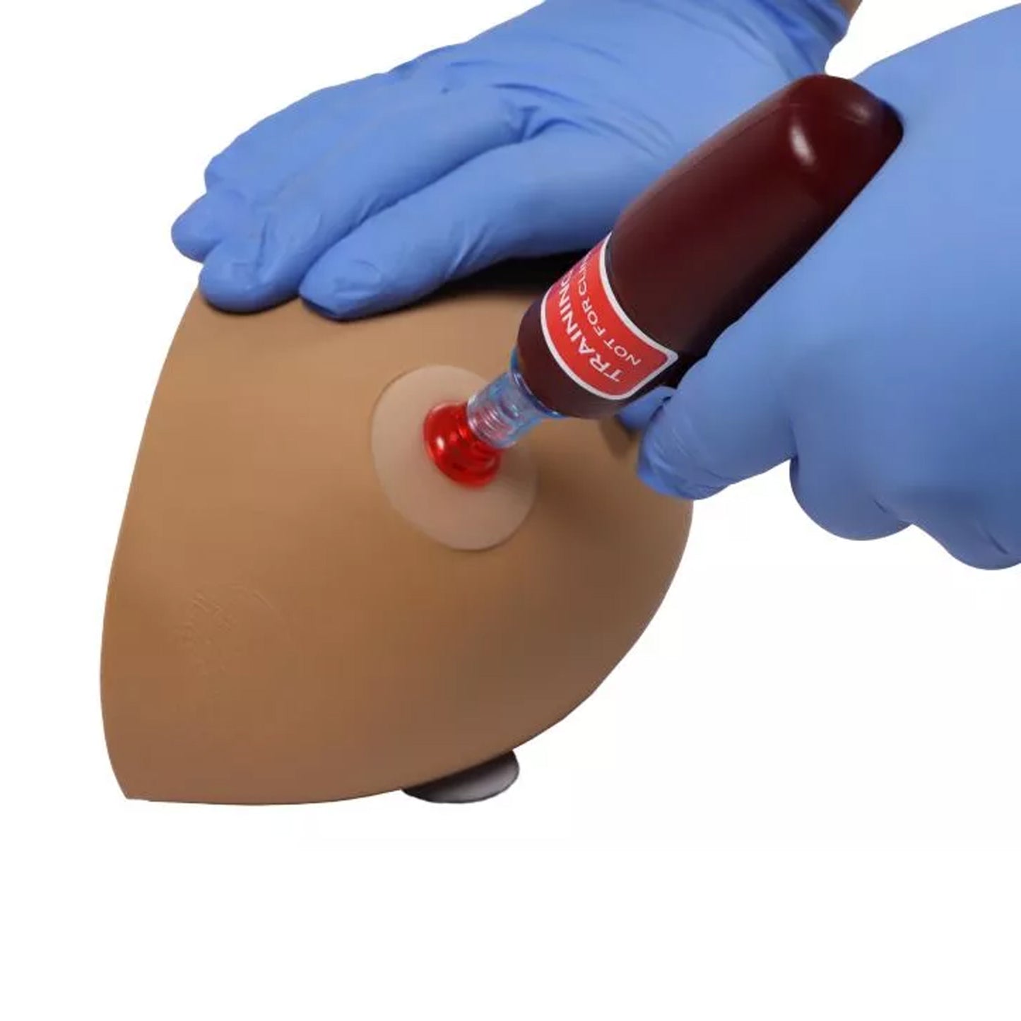 Amy Arm - intraossärer Task Trainer | EAN 4250395329149 | günstig kaufen
