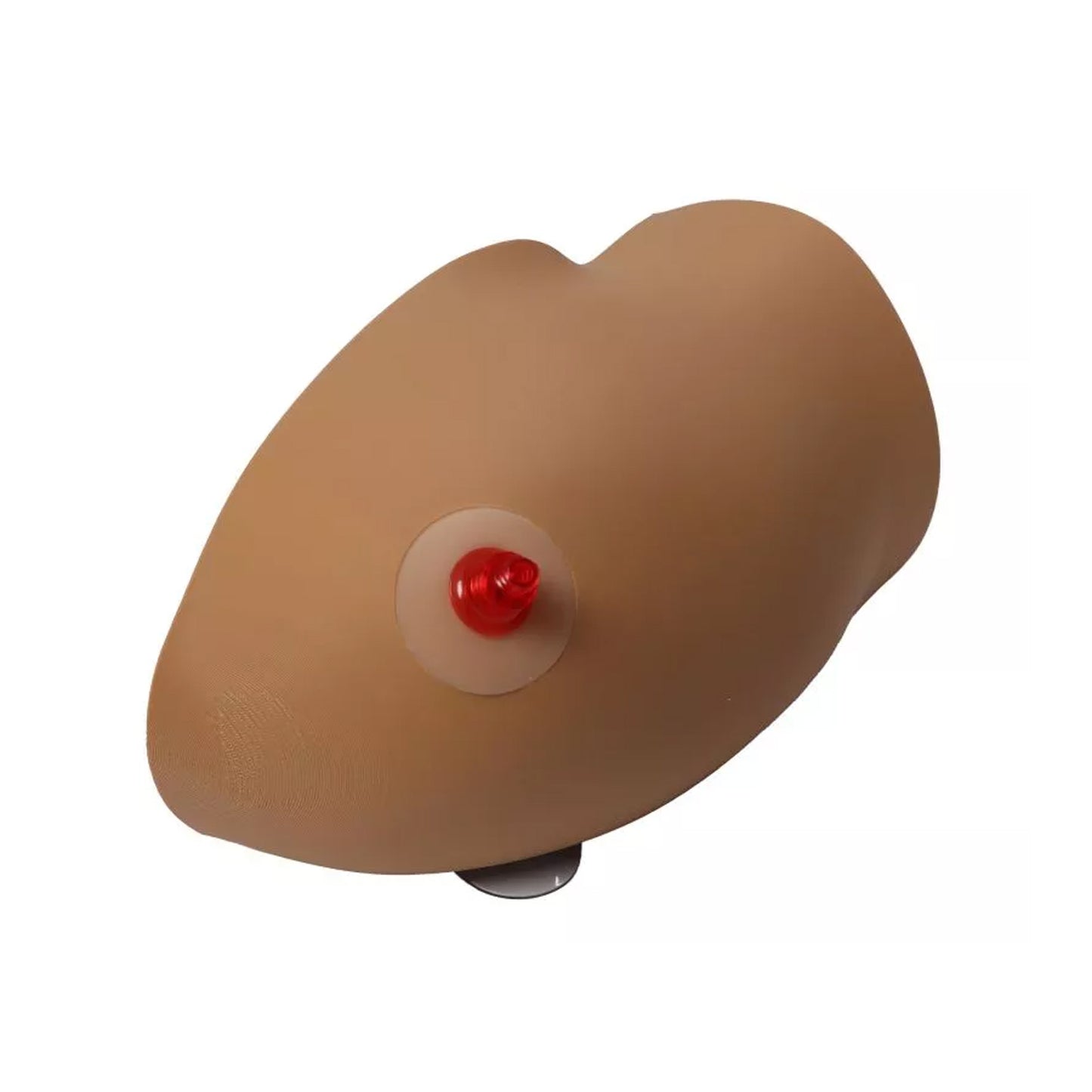 Amy Arm - intraossärer Task Trainer | EAN 4250395329149 | günstig kaufen
