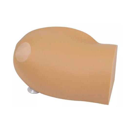 Amy Arm - intraossärer Task Trainer | EAN 4250395329149 | günstig kaufen