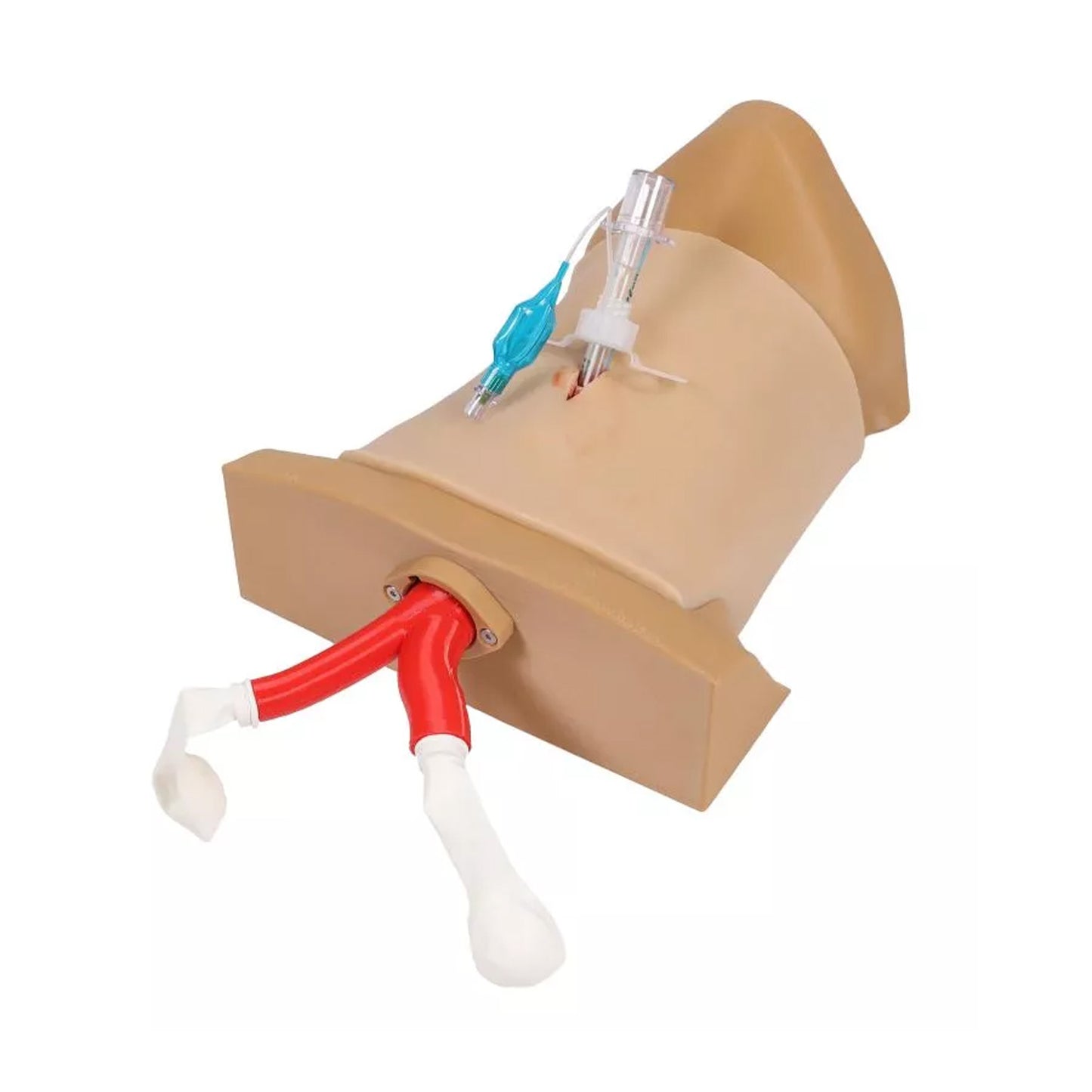 Crico Chris – Koniotomie Task Trainer | EAN 4250395328494 | günstig kaufen