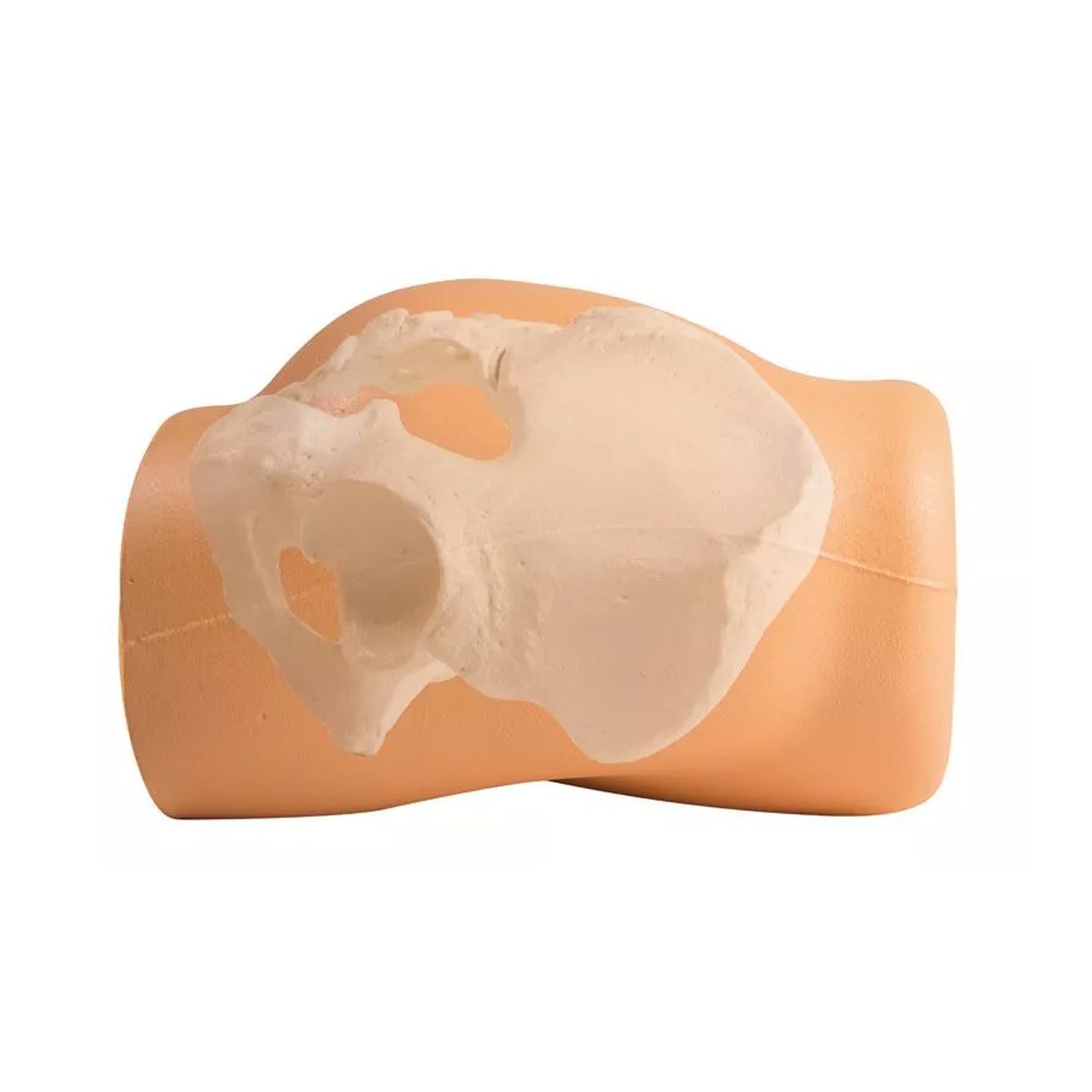Erler Zimmer Punktionstrainer | EAN 4250395304955 | günstig kaufen
