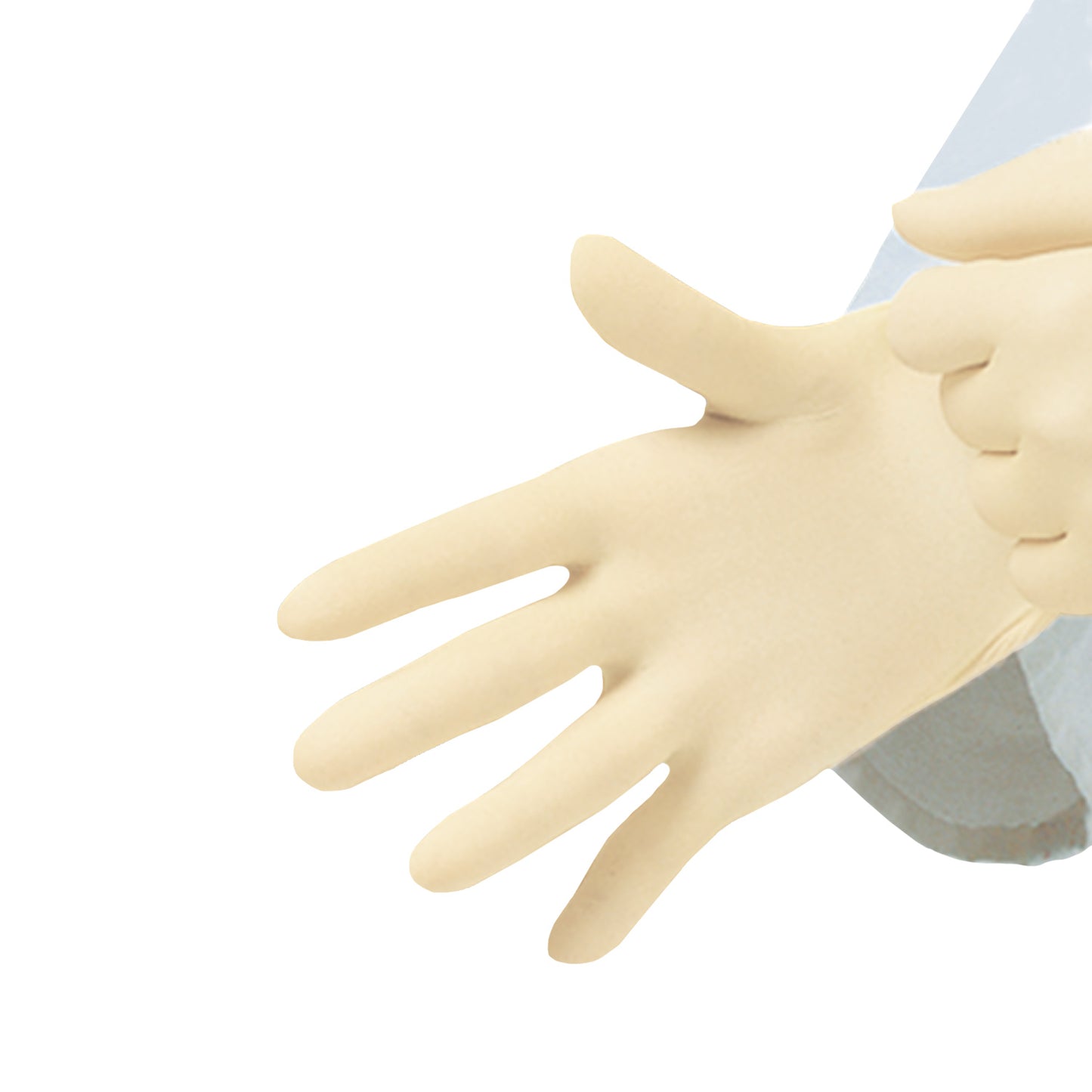Latexhandschuhe Peha-Soft, puderfrei | EAN 4049500949736 | PZN 07126885 | günstig kaufen