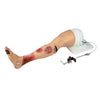 Lena Leg Anatomisches Beinmodell