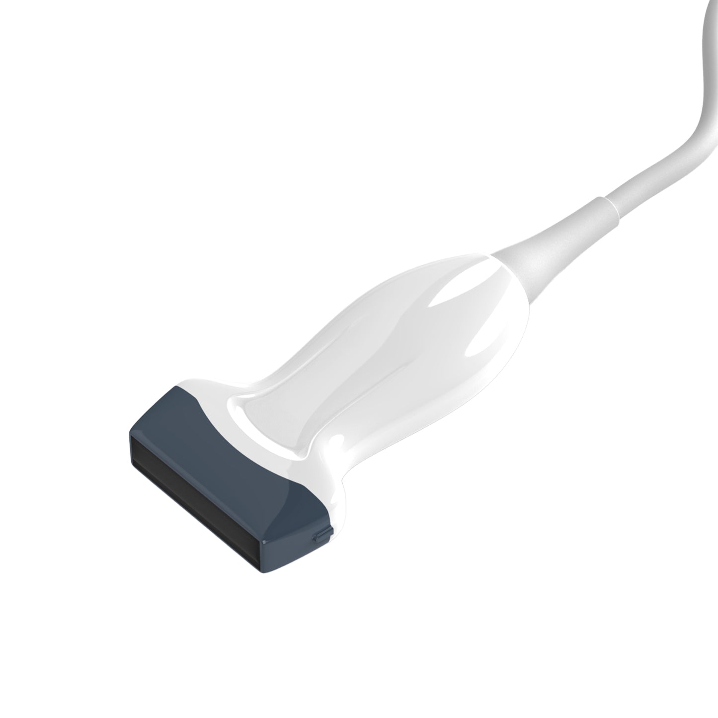 Linear-Sonde L12-T | günstig kaufen